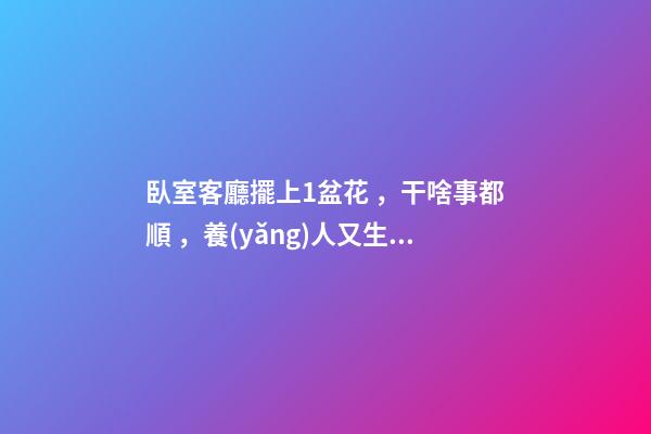 臥室客廳擺上1盆花，干啥事都順，養(yǎng)人又生財(cái)！